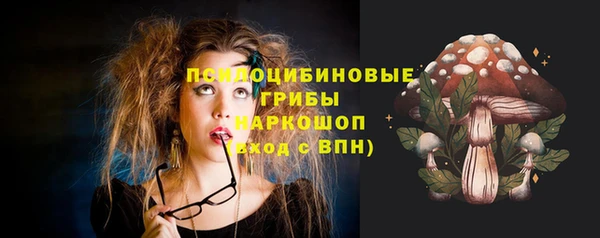 твердый Володарск