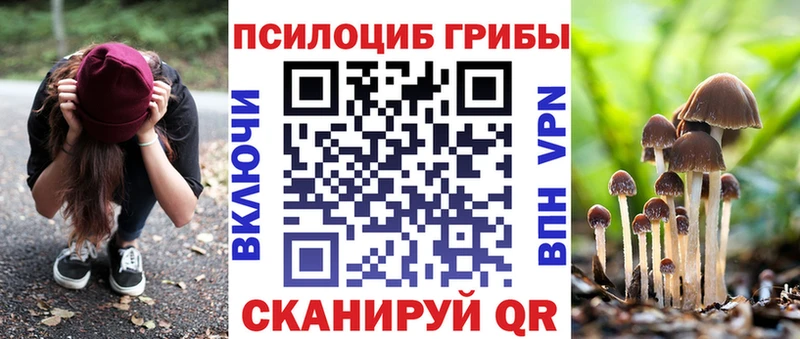 Псилоцибиновые грибы MAGIC MUSHROOMS  дарк нет какой сайт  Инсар 